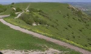 Die Hochfläche und der Südhang der Osterwiese auf dem Hesselberg in Mittelfranken ist ein typischer Kalk-Magerrasen