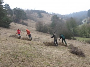 Pflegearbeiten, hier abharken von Mähgut, auf dem Magerrasen im NSG Wulsenberg, Marsberg, NRW